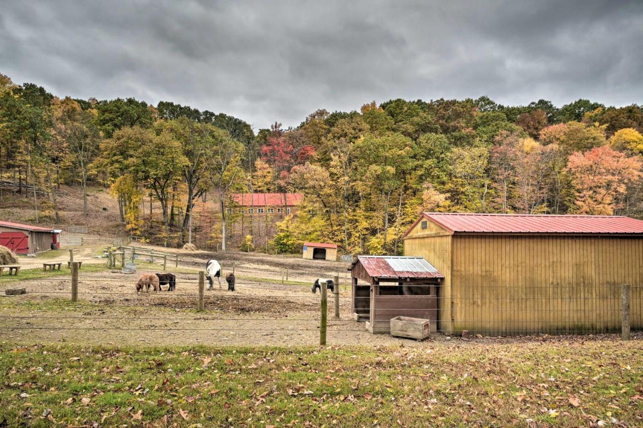 Cheyenne Ranch Apt With 50 Acres By Raystown Lake Huntingdon Exterior foto